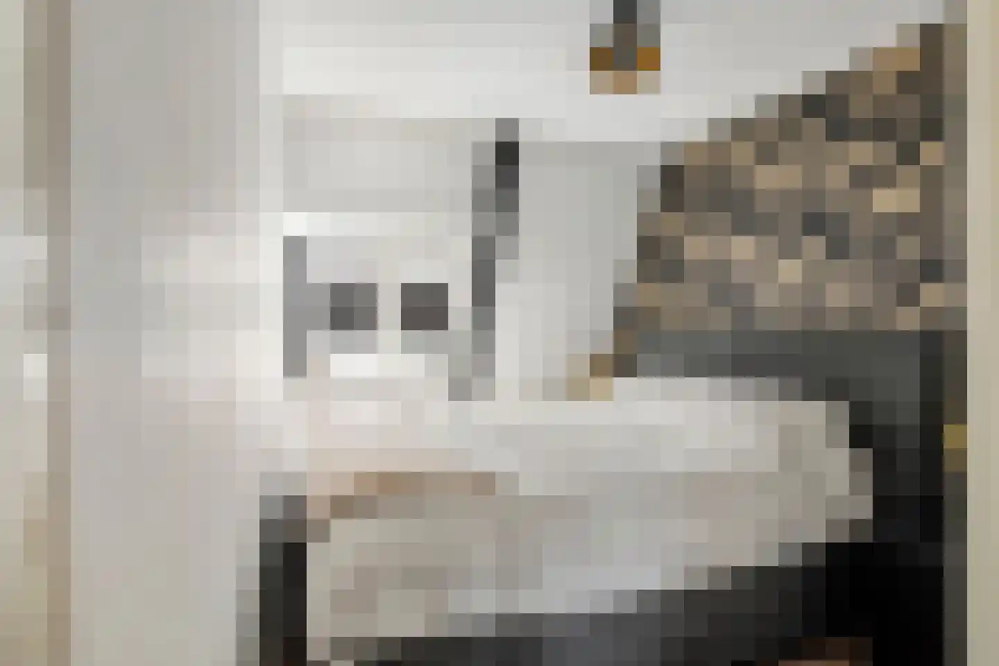 Hoveniersweg 114 Tiel thumbnail 24
