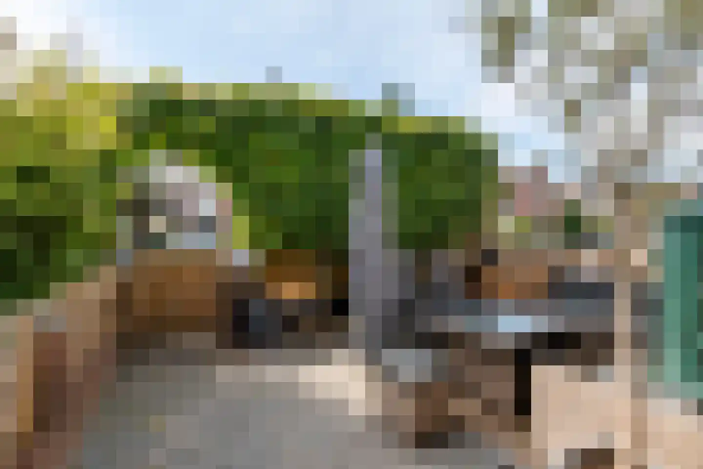 Hoveniersweg 114 Tiel thumbnail 36