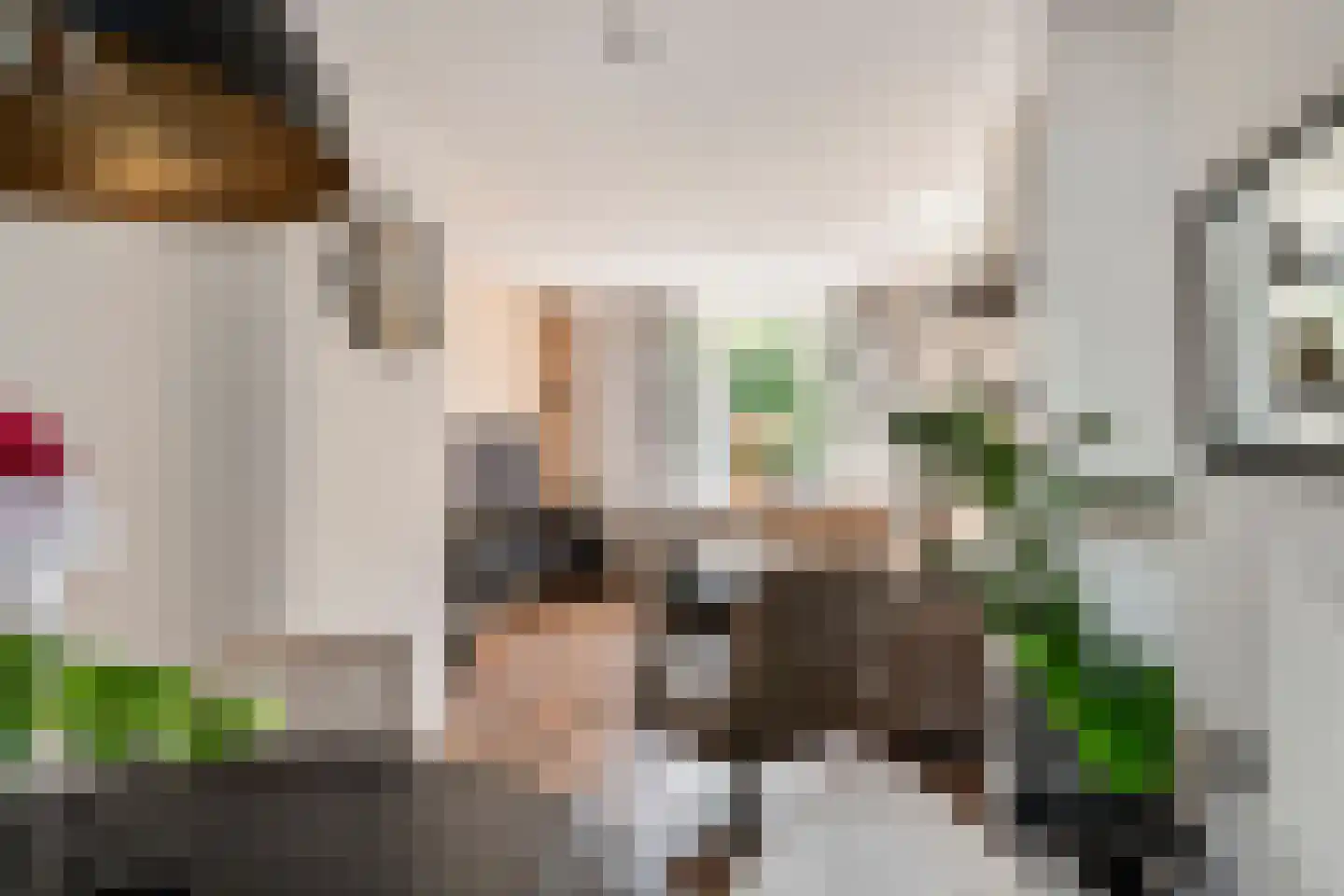 Hoveniersweg 114 Tiel thumbnail 9