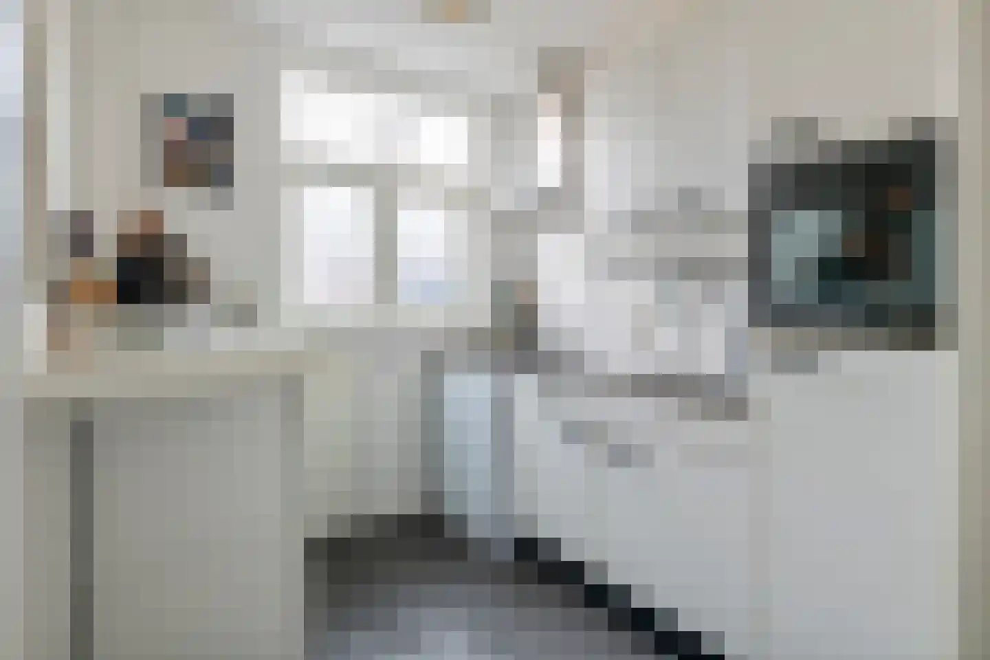 Hoveniersweg 116 Tiel thumbnail 20