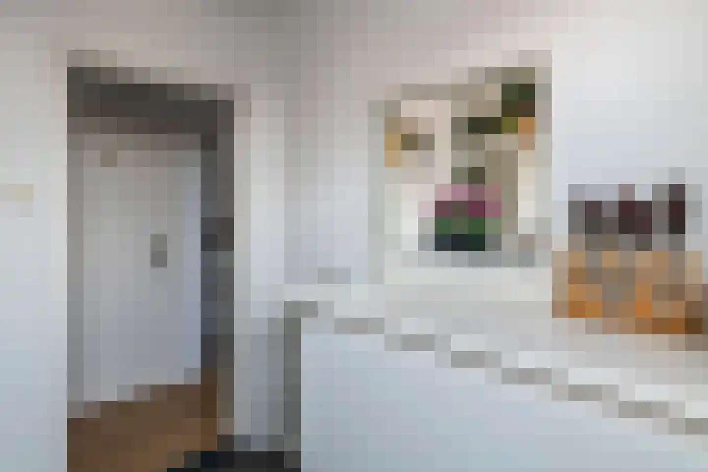 Hoveniersweg 116 Tiel thumbnail 23