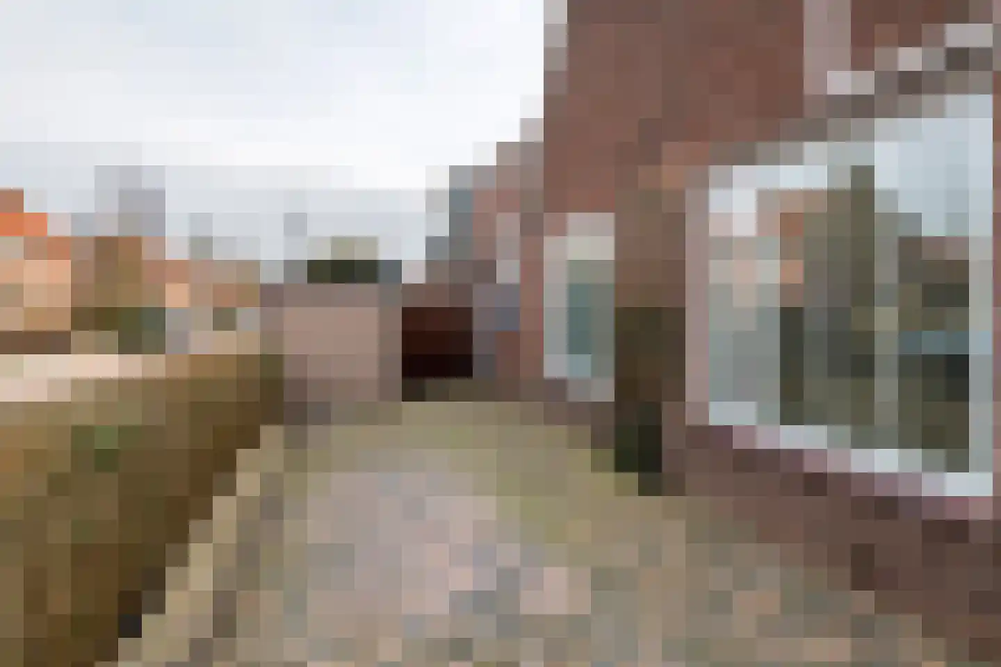 Hoveniersweg 116 Tiel thumbnail 4
