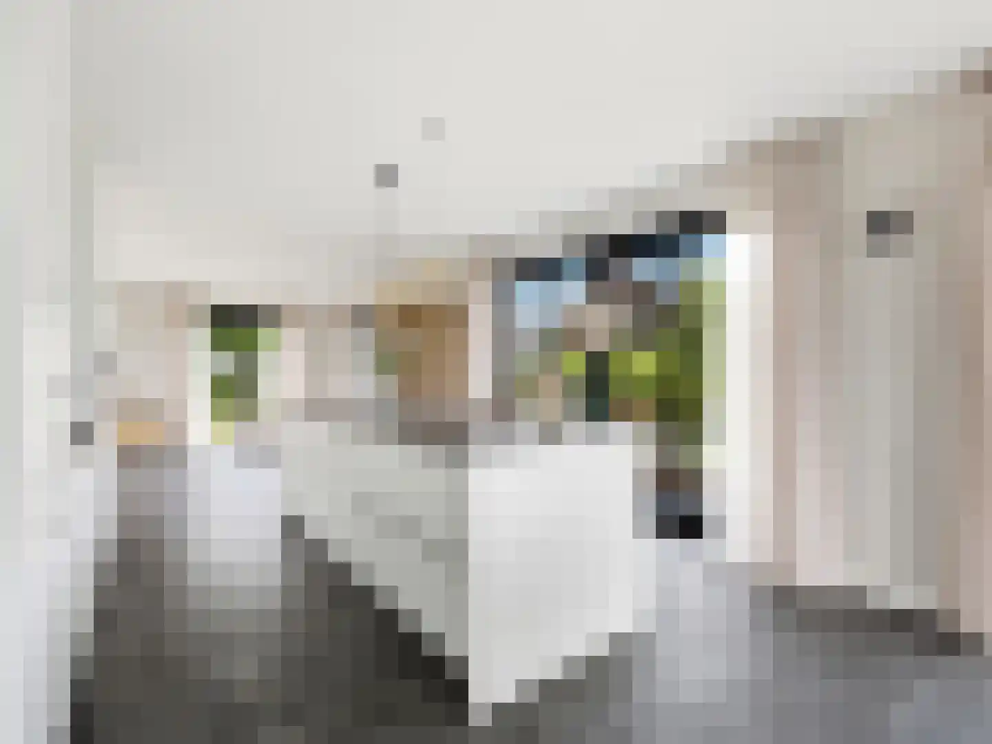 Hoveniersweg 12 b Zutphen thumbnail 11