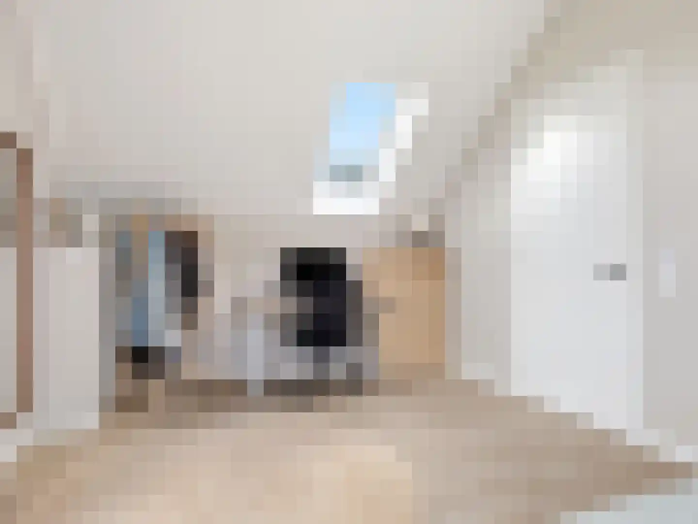 Hoveniersweg 12 b Zutphen thumbnail 24