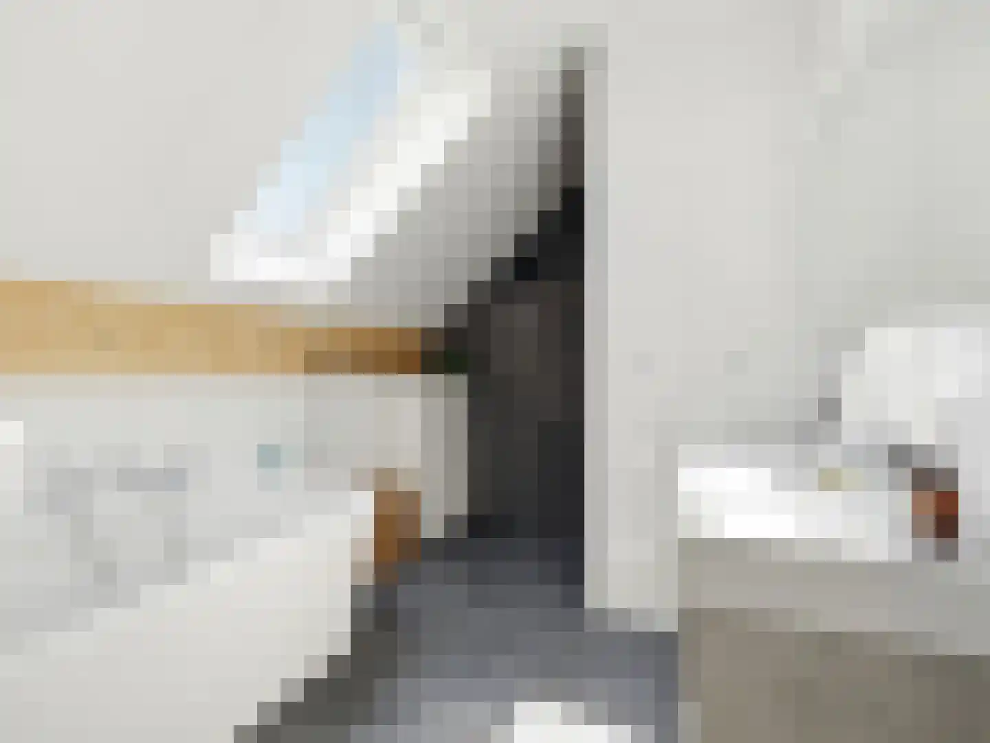 Hoveniersweg 12 b Zutphen thumbnail 25