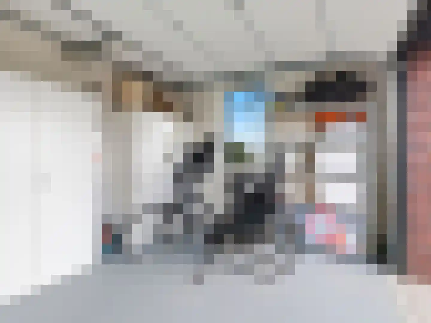Hoveniersweg 12 b Zutphen thumbnail 32