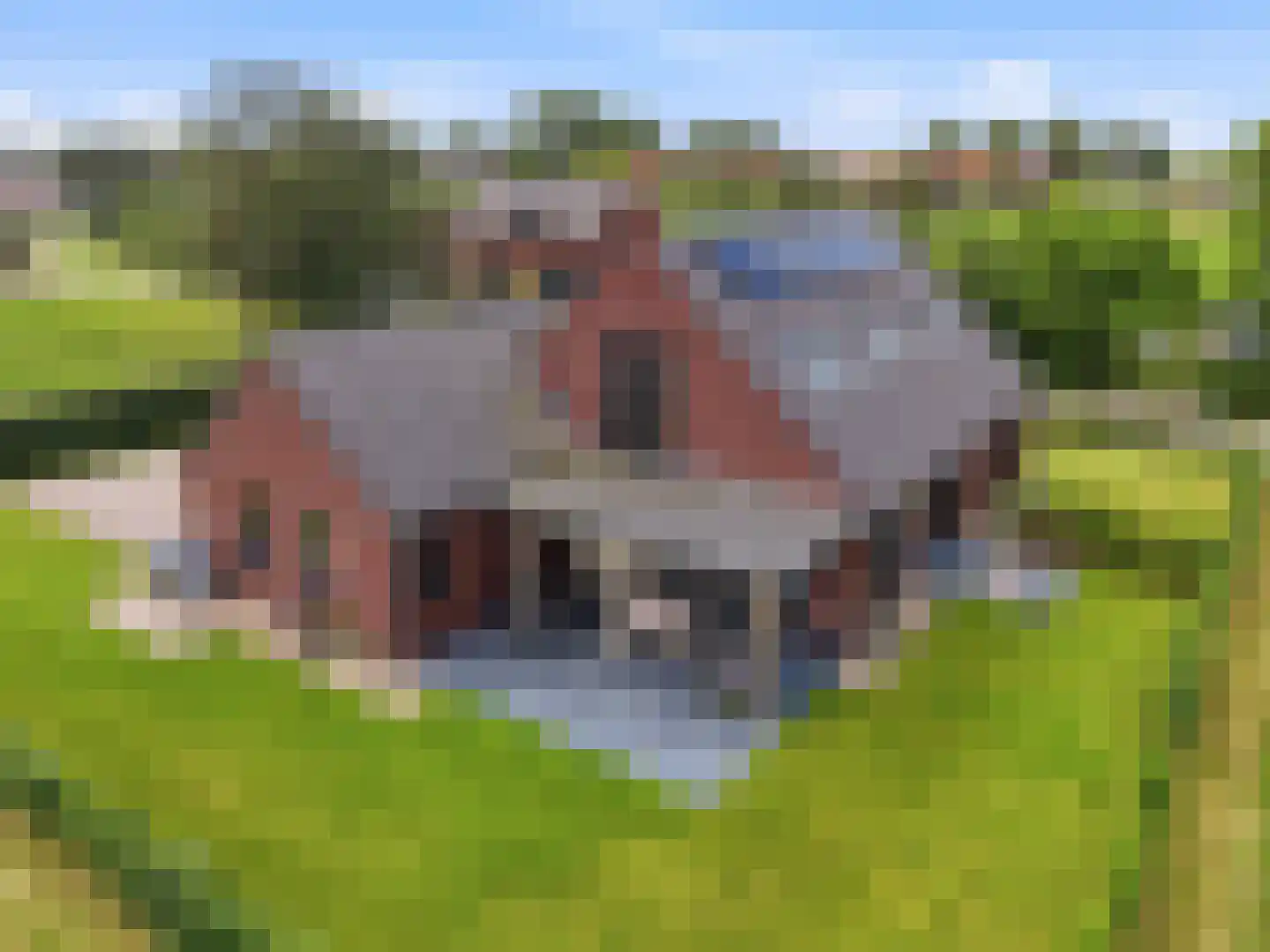 Hoveniersweg 12 b Zutphen thumbnail 4