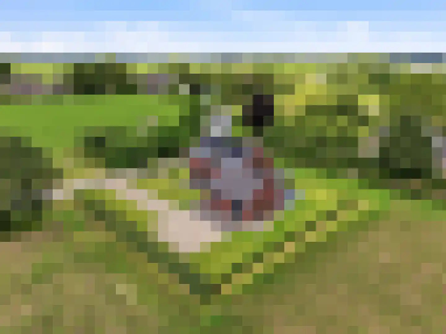 Hoveniersweg 12 b Zutphen thumbnail 44