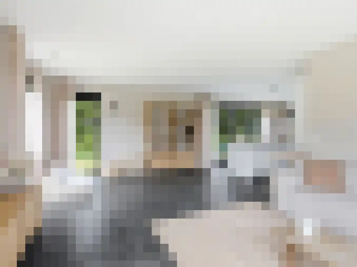 Hoveniersweg 12 b Zutphen thumbnail 9