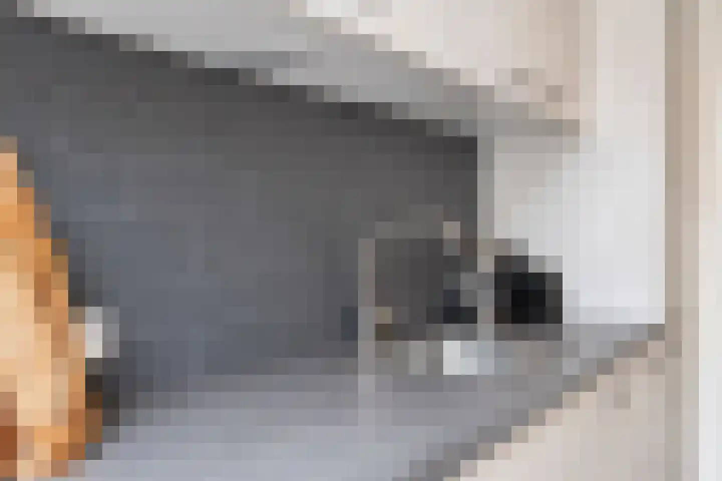 Hoveniersweg 27 Tiel thumbnail 24