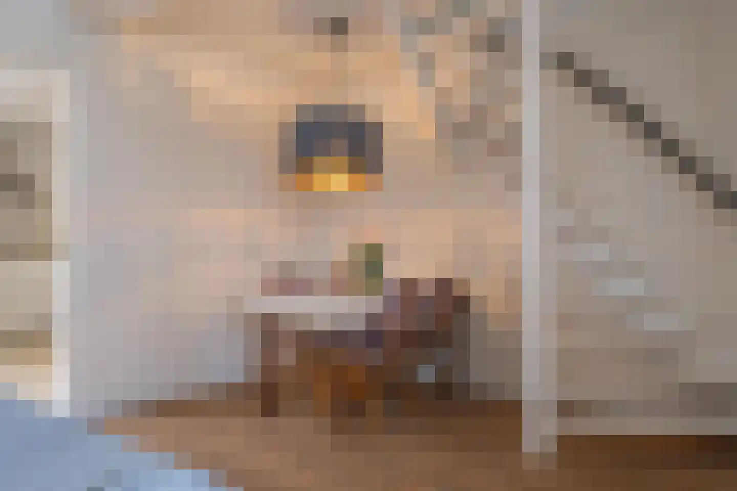 Hoveniersweg 49 Tiel thumbnail 10