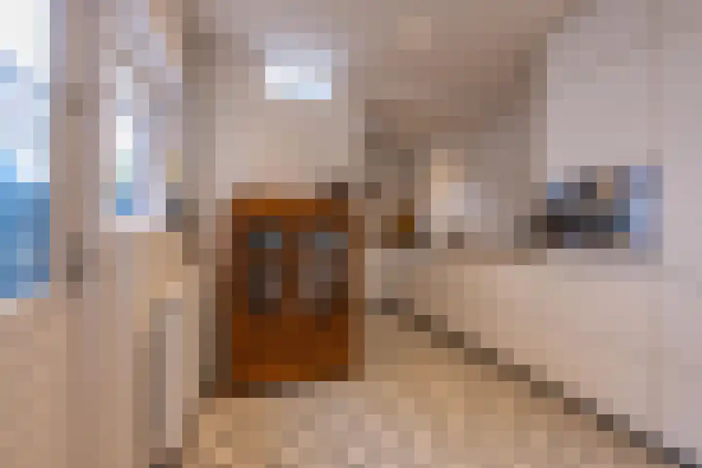 Hoveniersweg 49 Tiel thumbnail 13