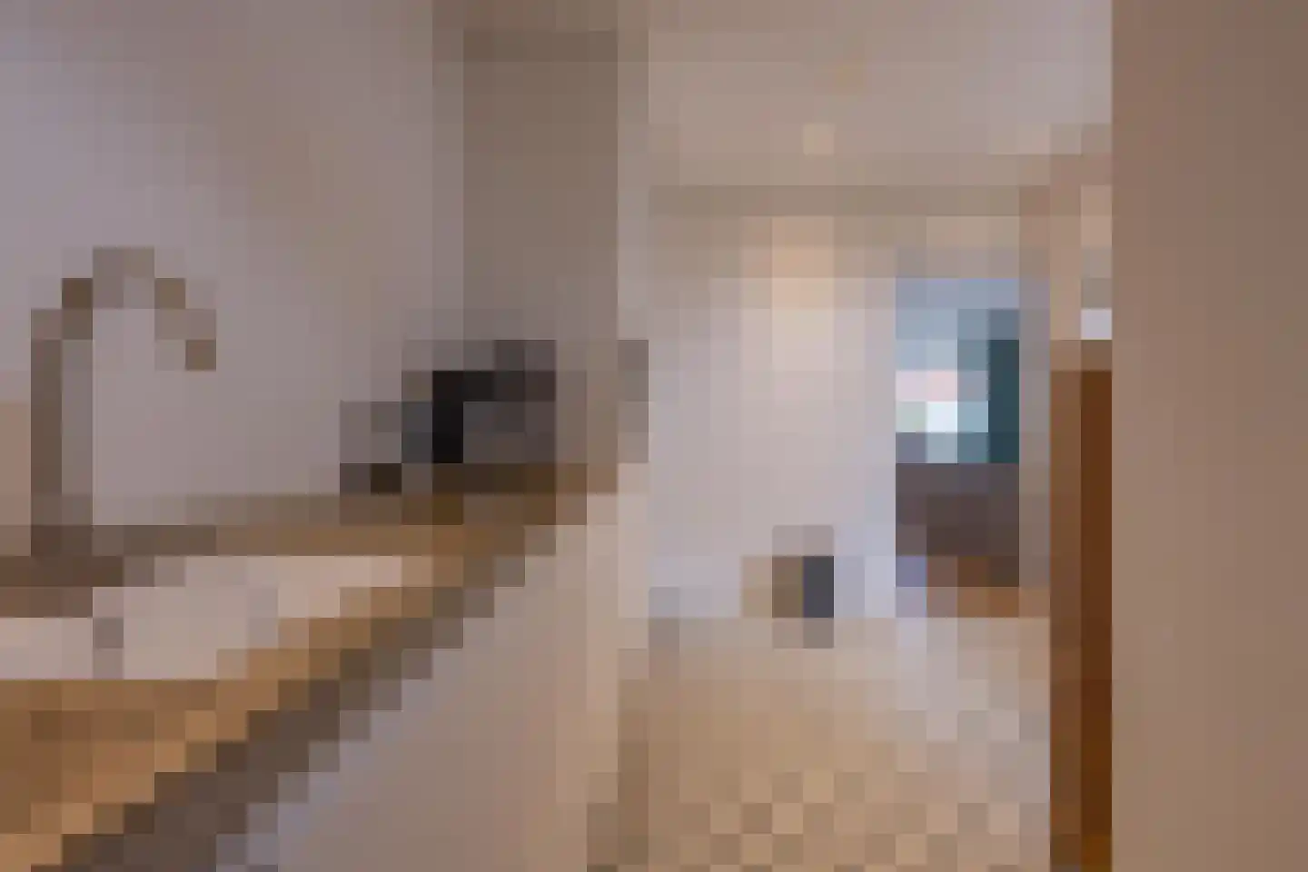 Hoveniersweg 49 Tiel thumbnail 15