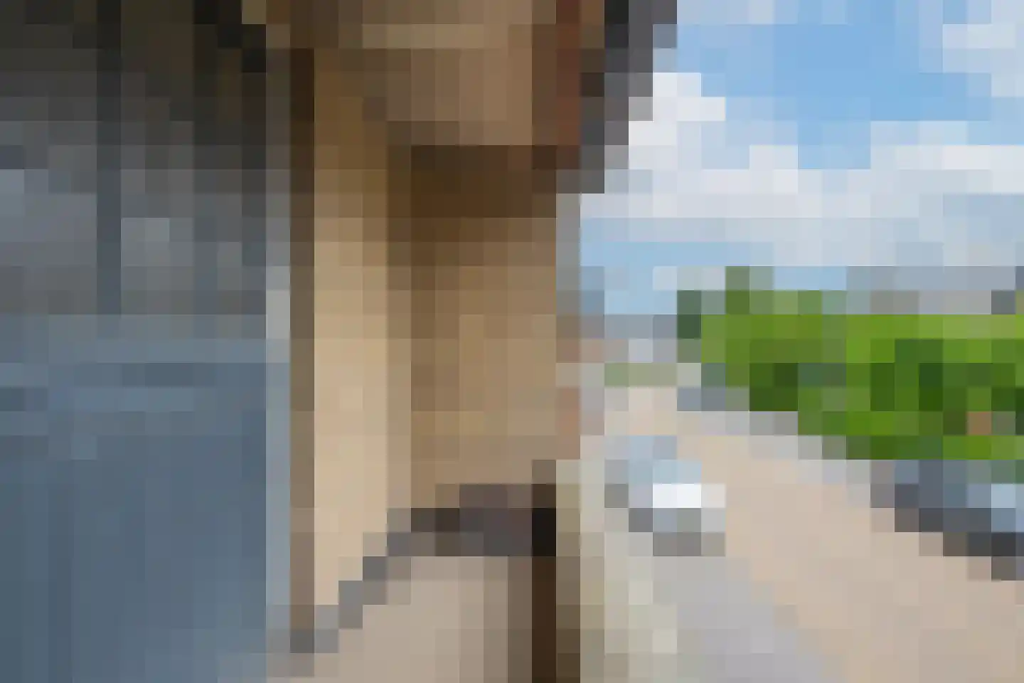 Hoveniersweg 49 Tiel thumbnail 36