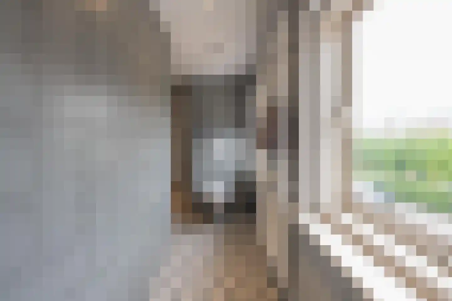 Hoveniersweg 49 Tiel thumbnail 42