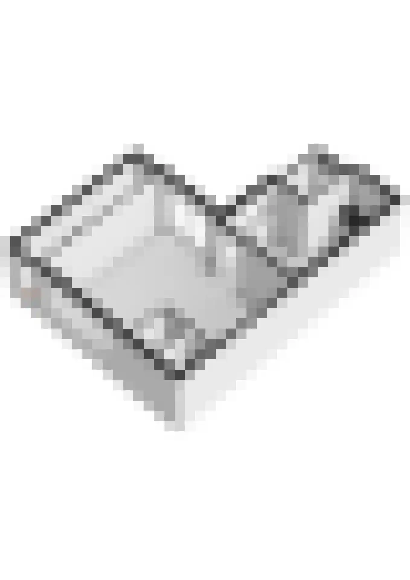 Hoveniersweg 49 Tiel thumbnail 46