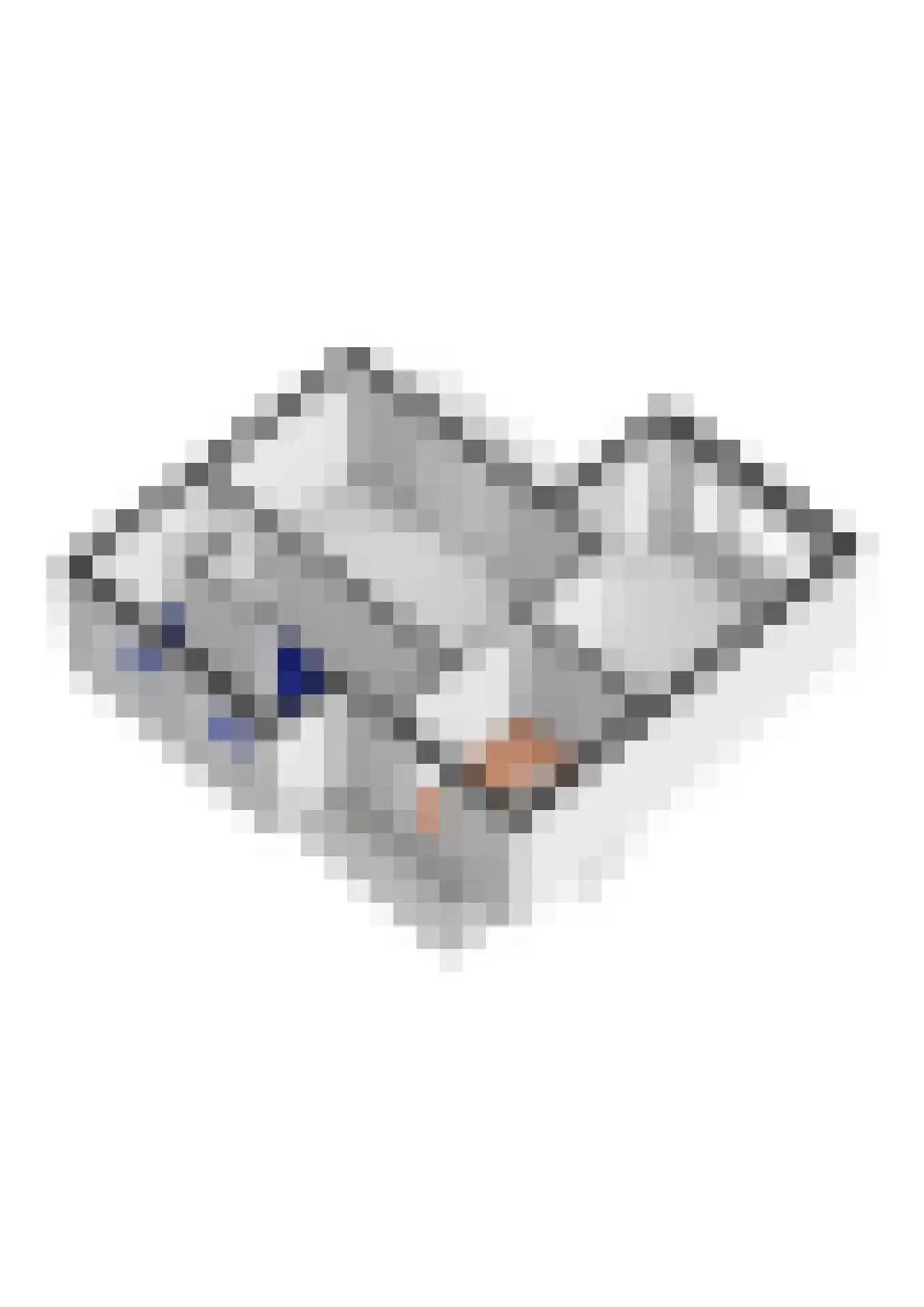Hoveniersweg 49 Tiel thumbnail 48