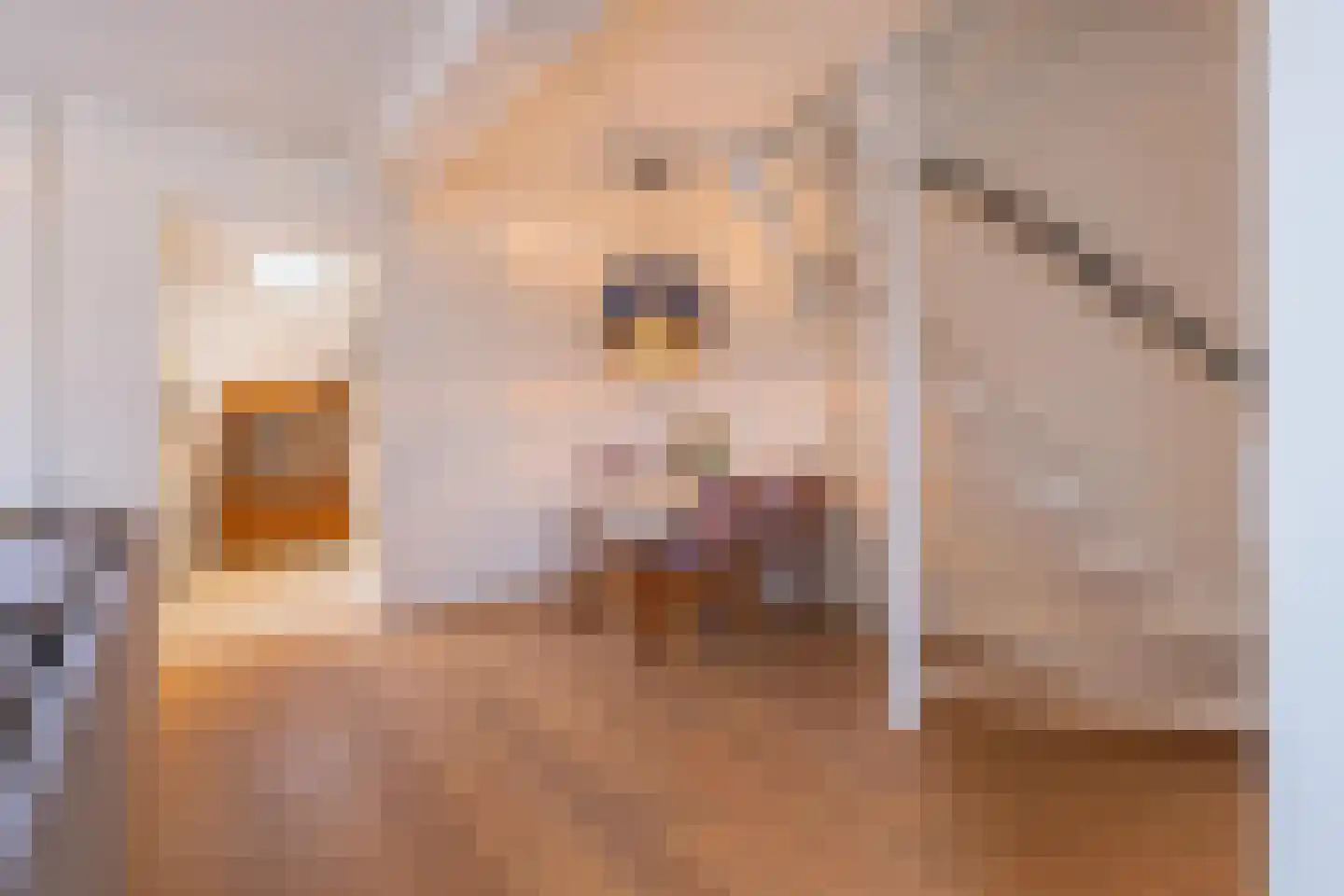 Hoveniersweg 49 Tiel thumbnail 8