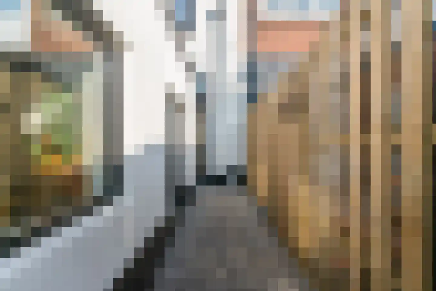 Hoveniersweg 55 Tiel thumbnail 26