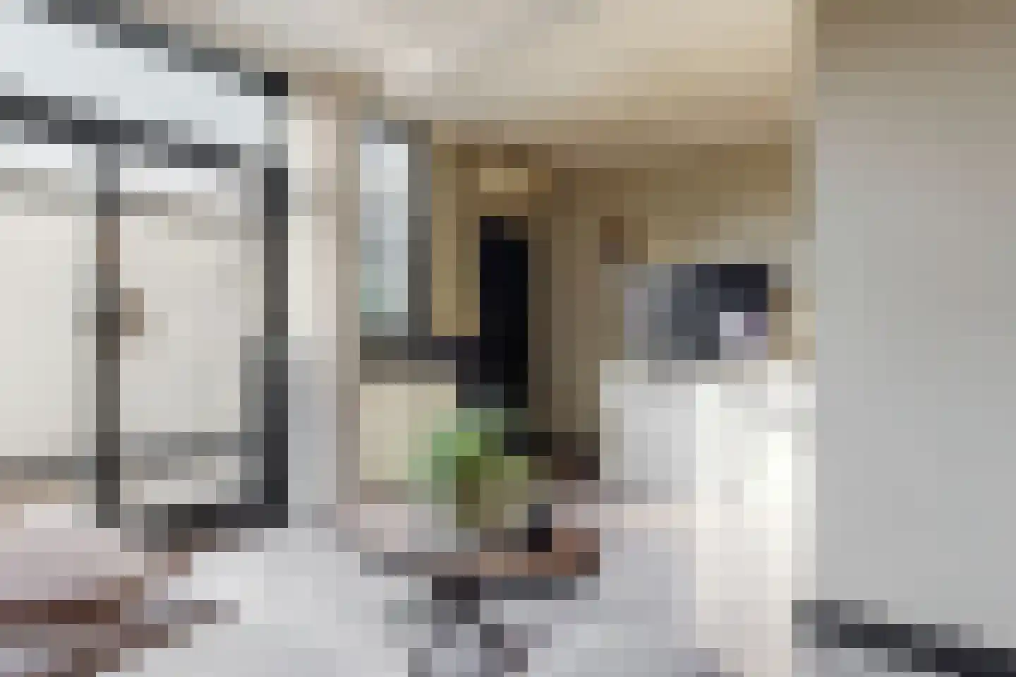 Hoveniersweg 55 Tiel thumbnail 8
