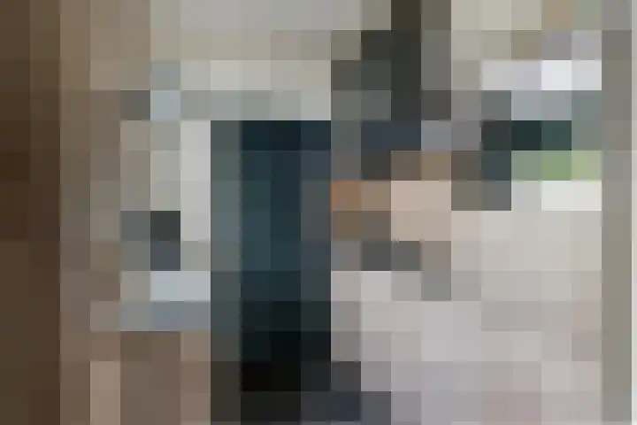 Hoveniersweg 61 Tiel thumbnail 13