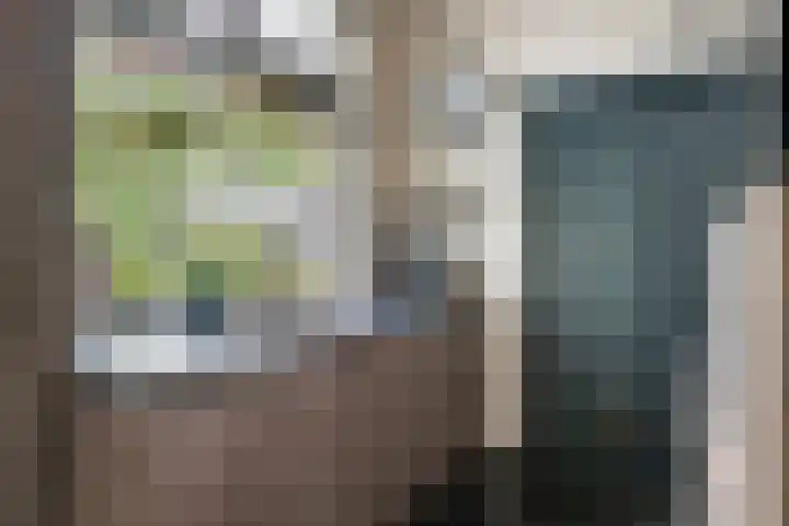Hoveniersweg 61 Tiel thumbnail 14