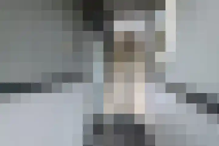 Hoveniersweg 61 Tiel thumbnail 17