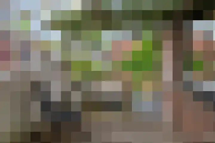 Hoveniersweg 61 Tiel thumbnail 28
