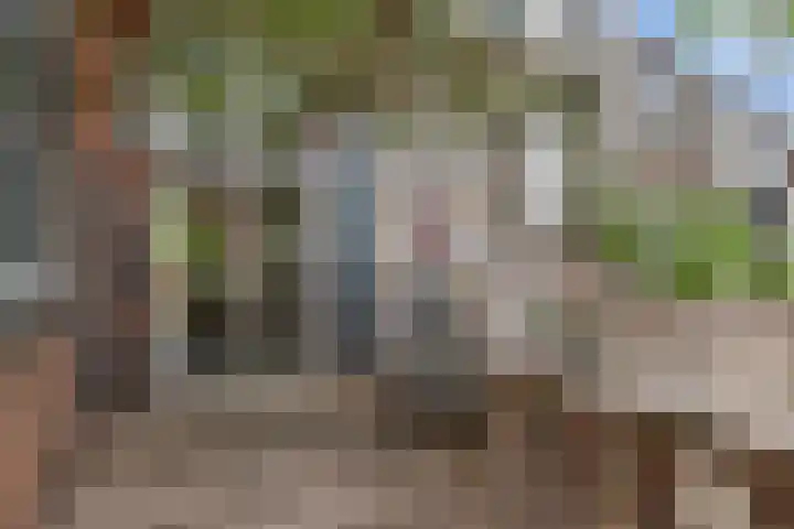 Hoveniersweg 61 Tiel thumbnail 33