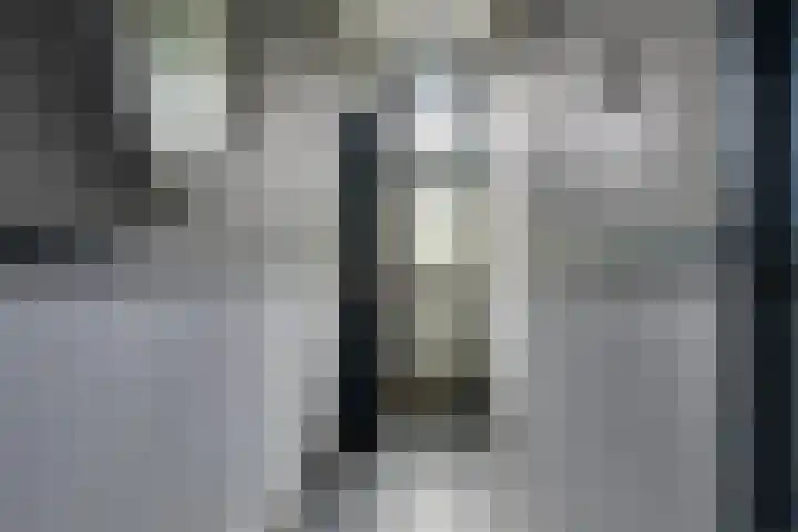Hoveniersweg 61 Tiel thumbnail 4