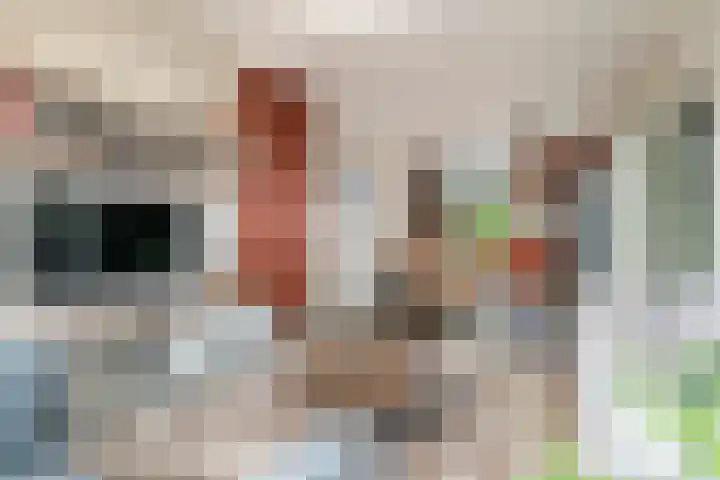 Hoveniersweg 61 Tiel thumbnail 9