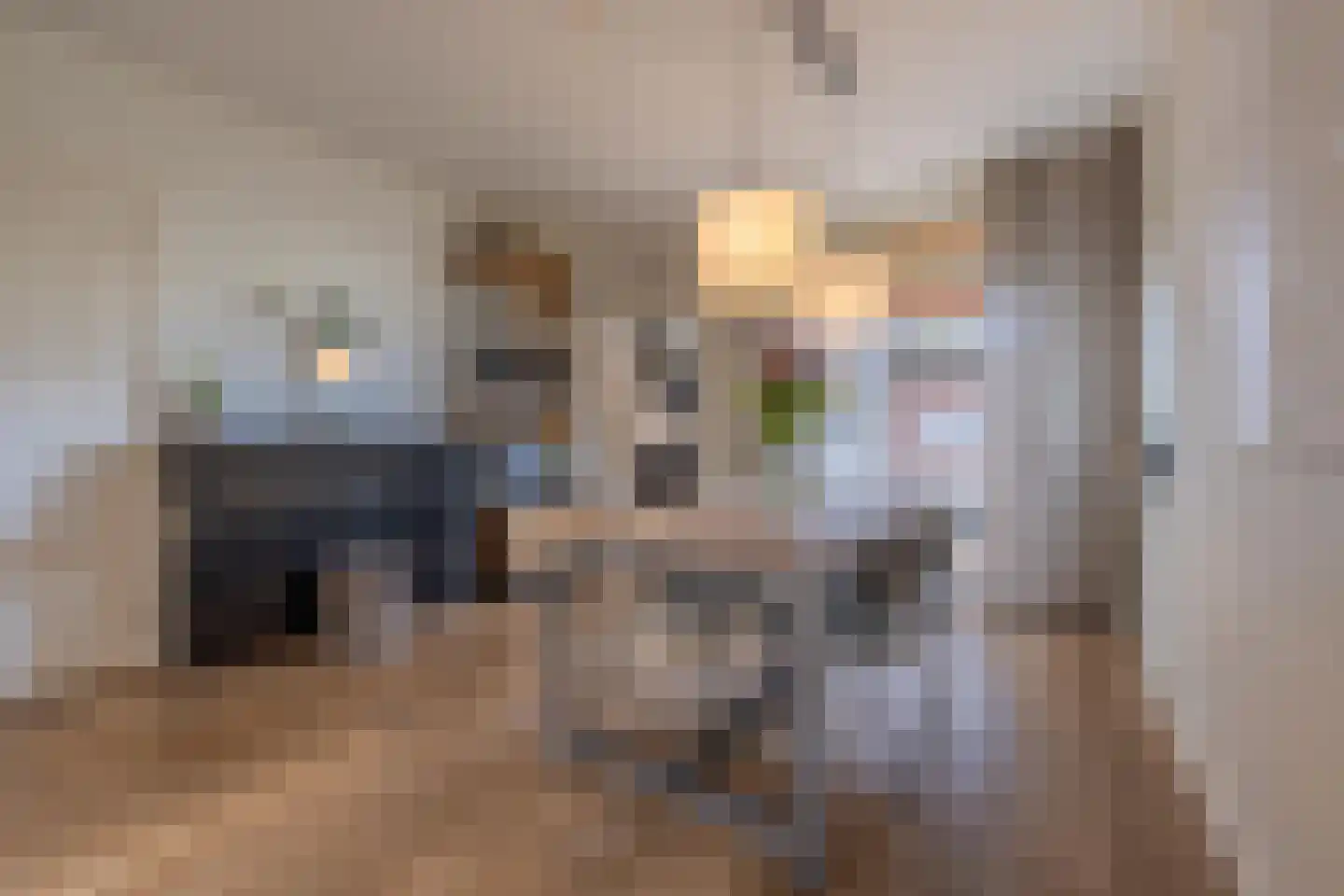 Hoveniersweg 63 Tiel thumbnail 18