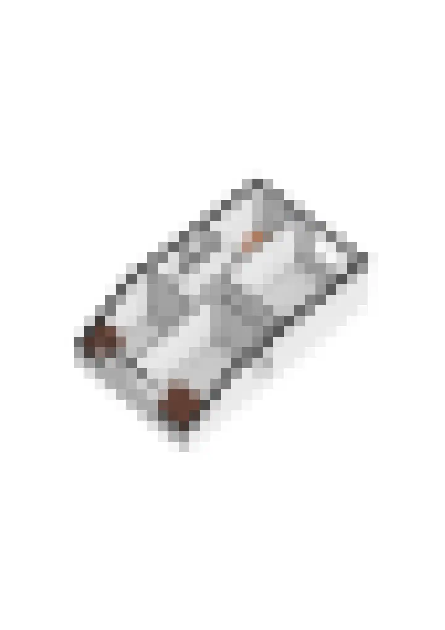 Hoveniersweg 63 Tiel thumbnail 65