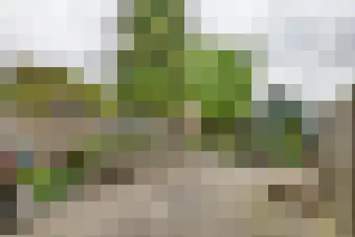 Hoveniersweg 68 Tiel thumbnail 27