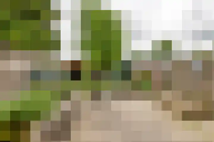 Hoveniersweg 68 Tiel thumbnail 28