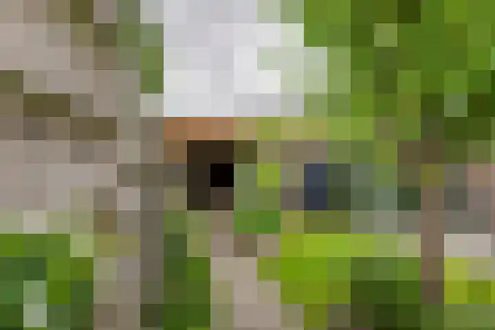 Hoveniersweg 68 Tiel thumbnail 29