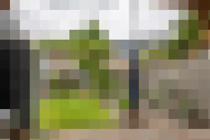 Hoveniersweg 68 Tiel thumbnail 35