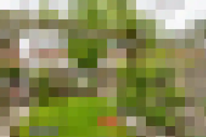 Hoveniersweg 68 Tiel thumbnail 36