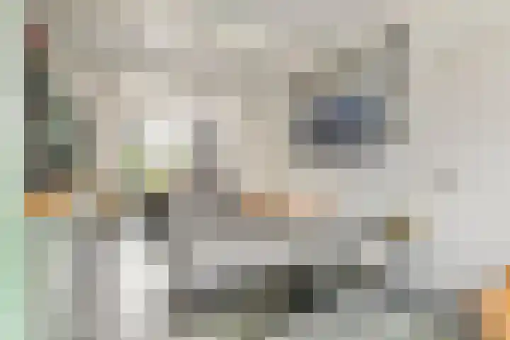 Hoveniersweg 68 Tiel thumbnail 6