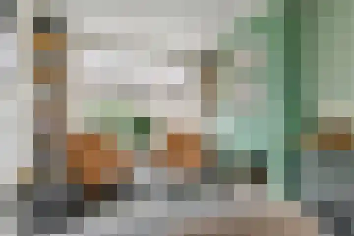 Hoveniersweg 68 Tiel thumbnail 9