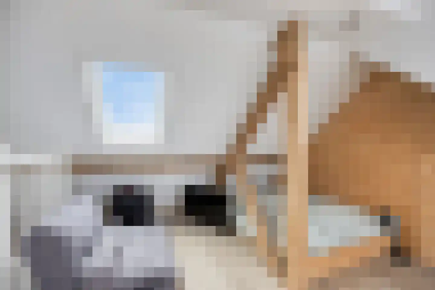 Hoveniersweg 80 Tiel thumbnail 19
