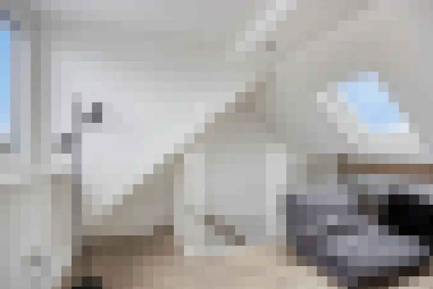 Hoveniersweg 80 Tiel thumbnail 20
