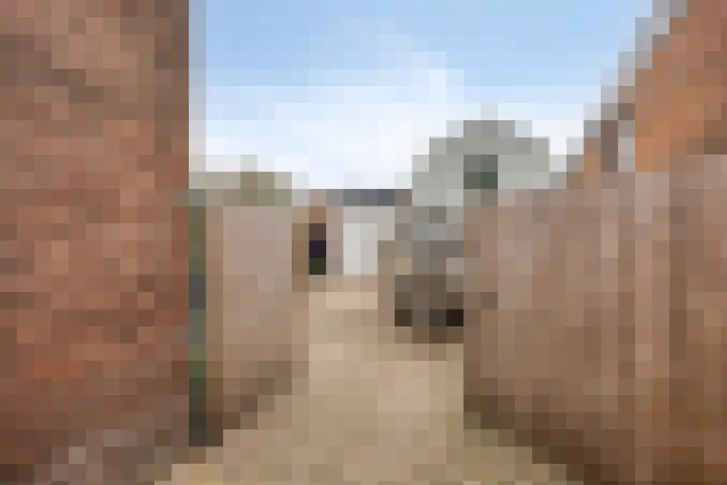 Hoveniersweg 80 Tiel thumbnail 21