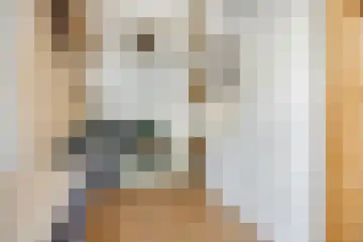 Hoveniersweg 9 Tiel thumbnail 12