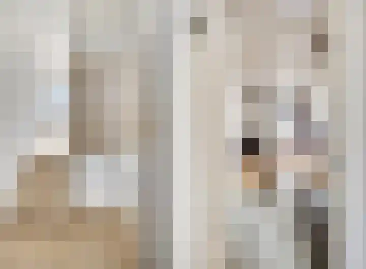 Hoveniersweg 9 Tiel thumbnail 15