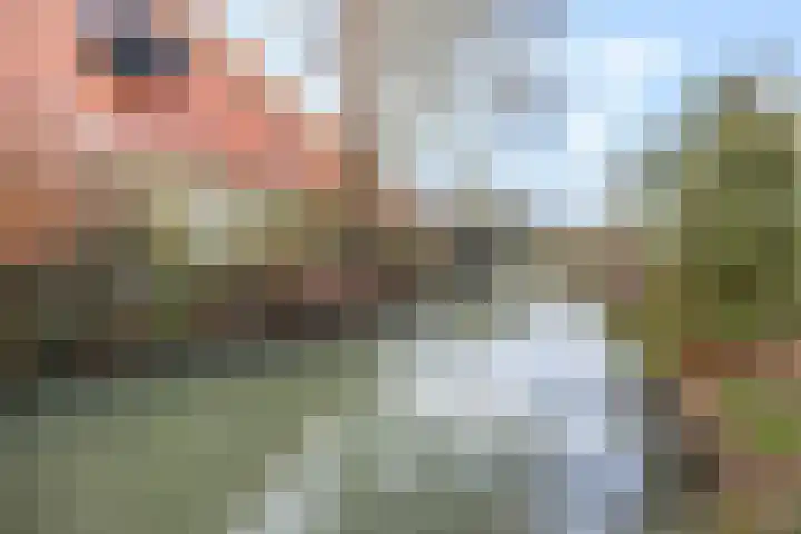 Hoveniersweg 9 Tiel thumbnail 30