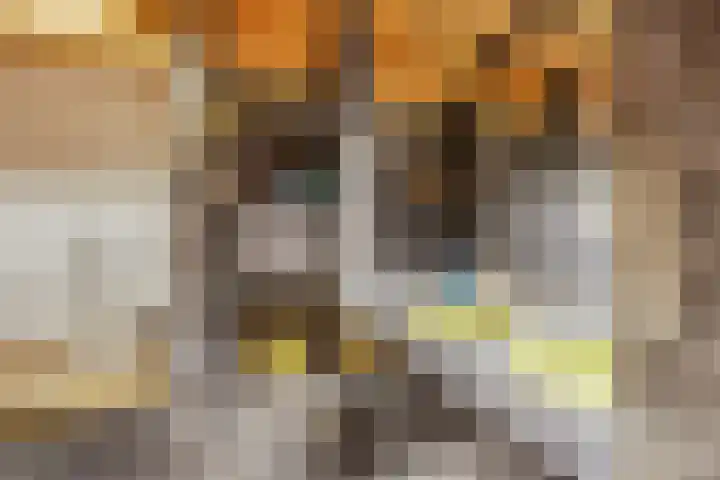 Hoveniersweg 9 Tiel thumbnail 33