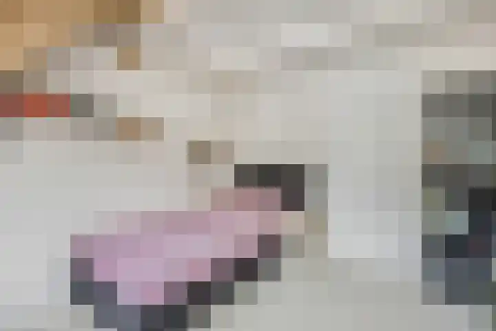 Hoveniersweg 9 Tiel thumbnail 38