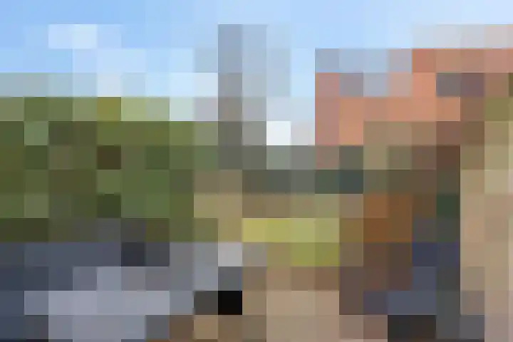 Hoveniersweg 9 Tiel thumbnail 40