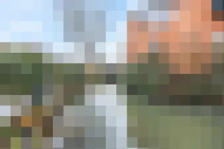 Hoveniersweg 9 Tiel thumbnail 43